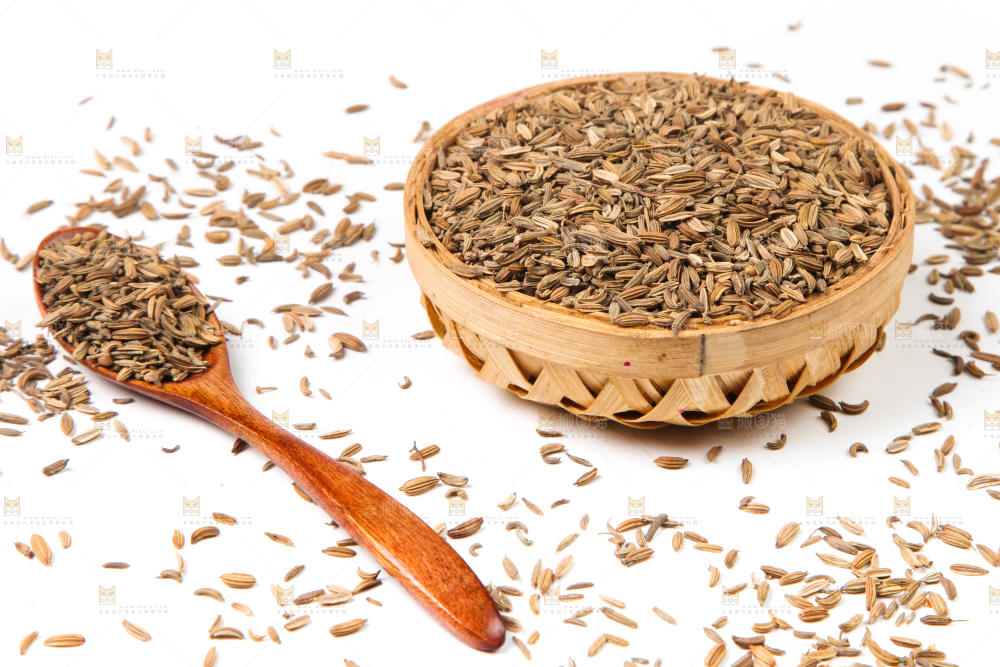 白底上一堆小茴香