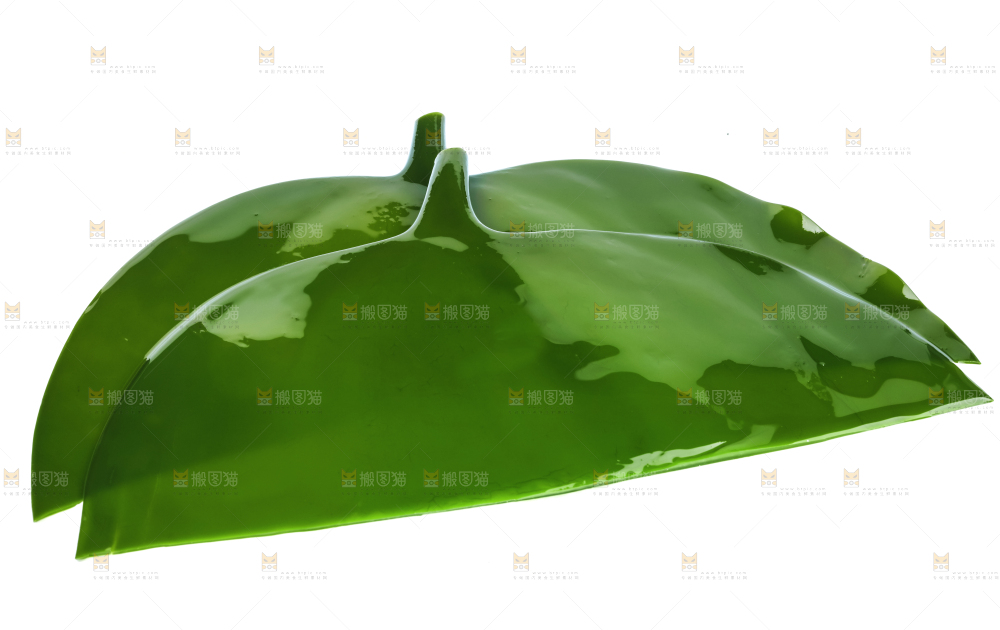 白底上摆放着海带头