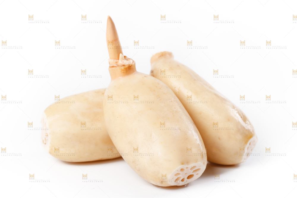 白底上的新鲜莲藕