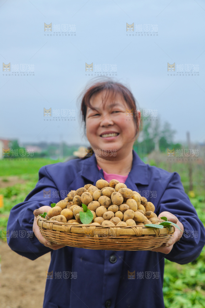 手里端着一篮恩施小土豆
