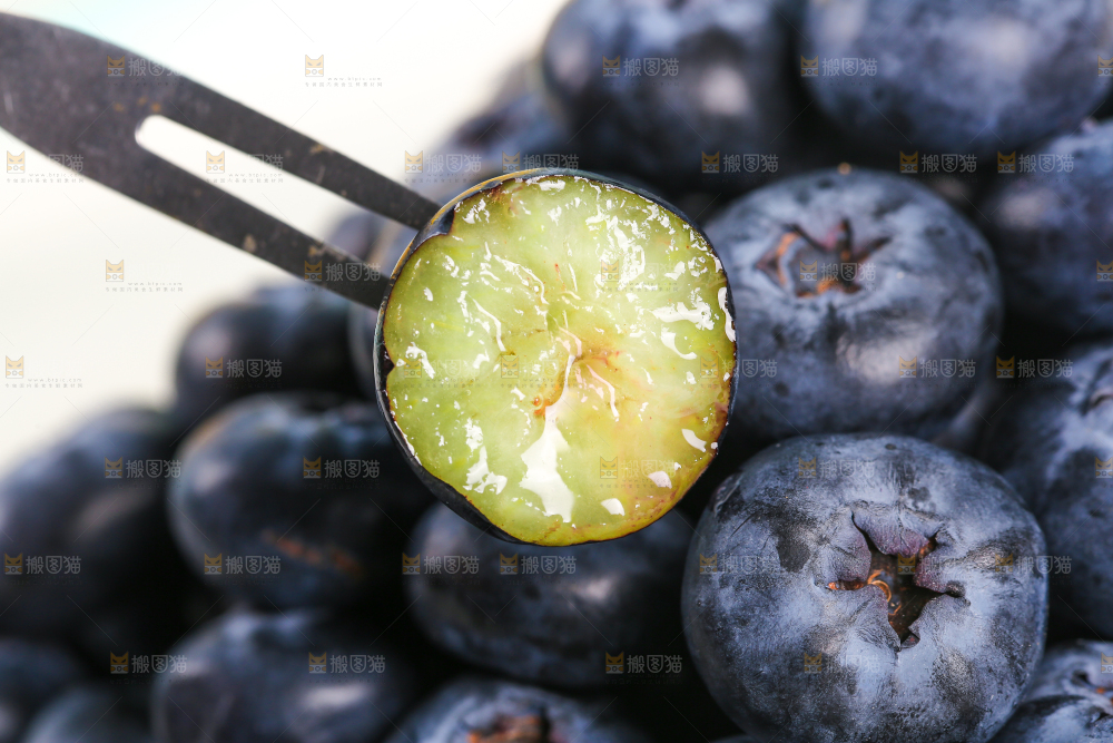叉子上插着蓝莓