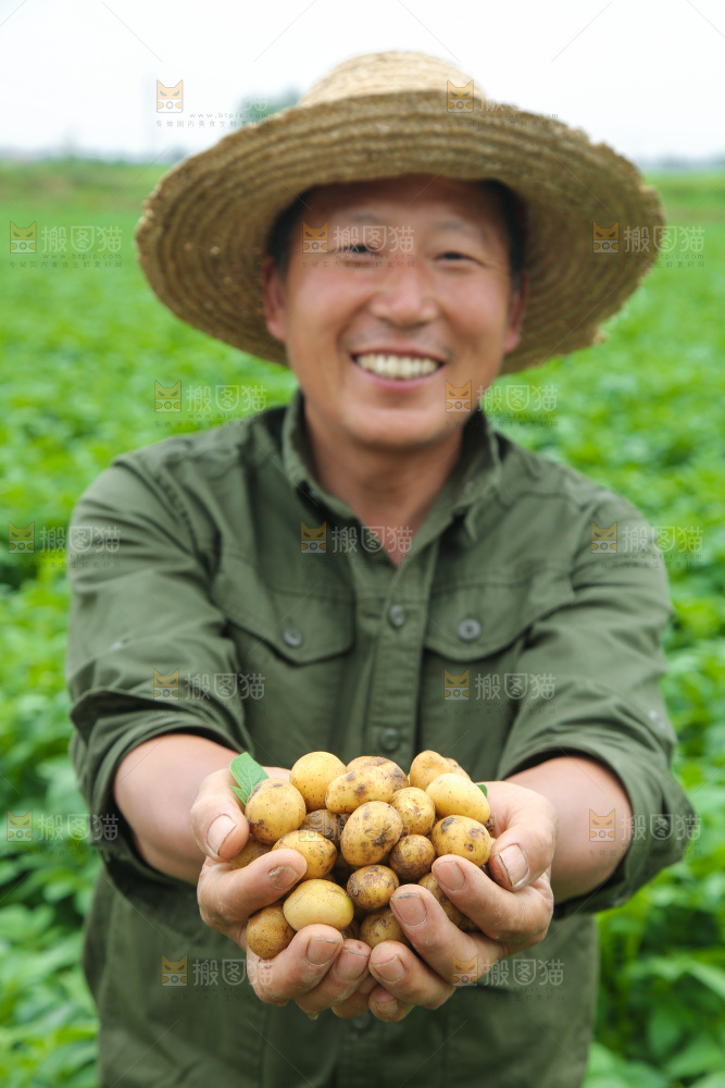 手里捧着恩施小土豆