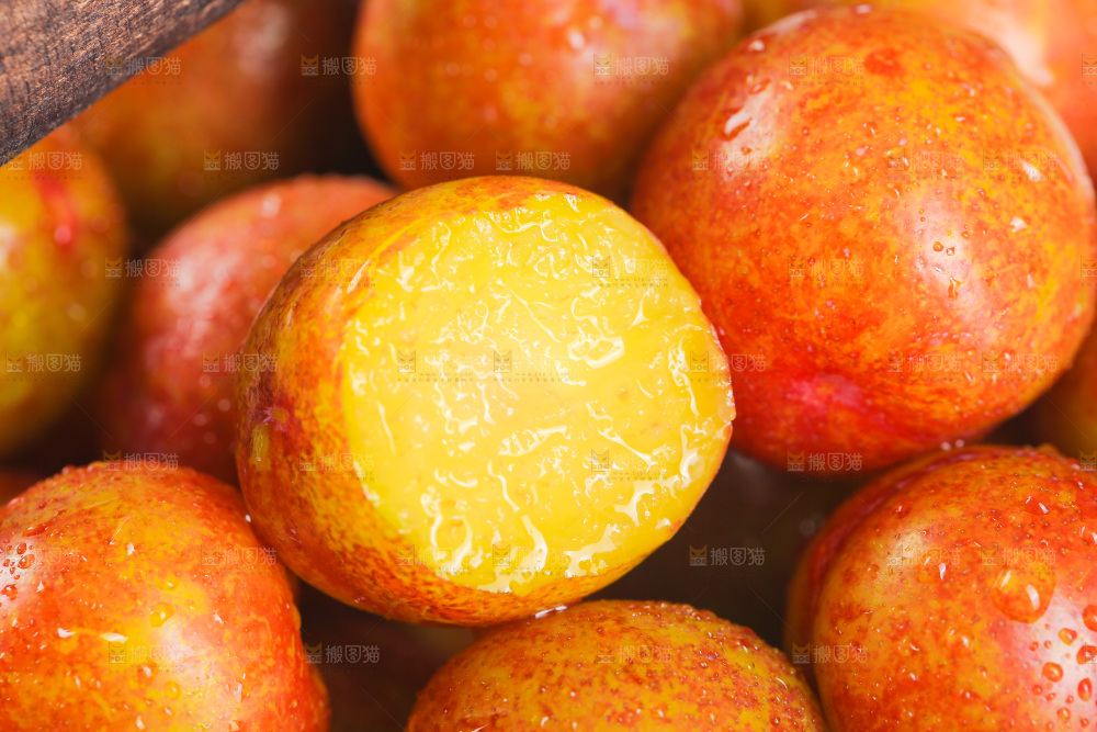 三月李纹理