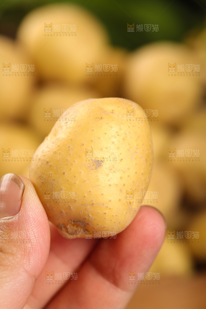 手里拿着小土豆