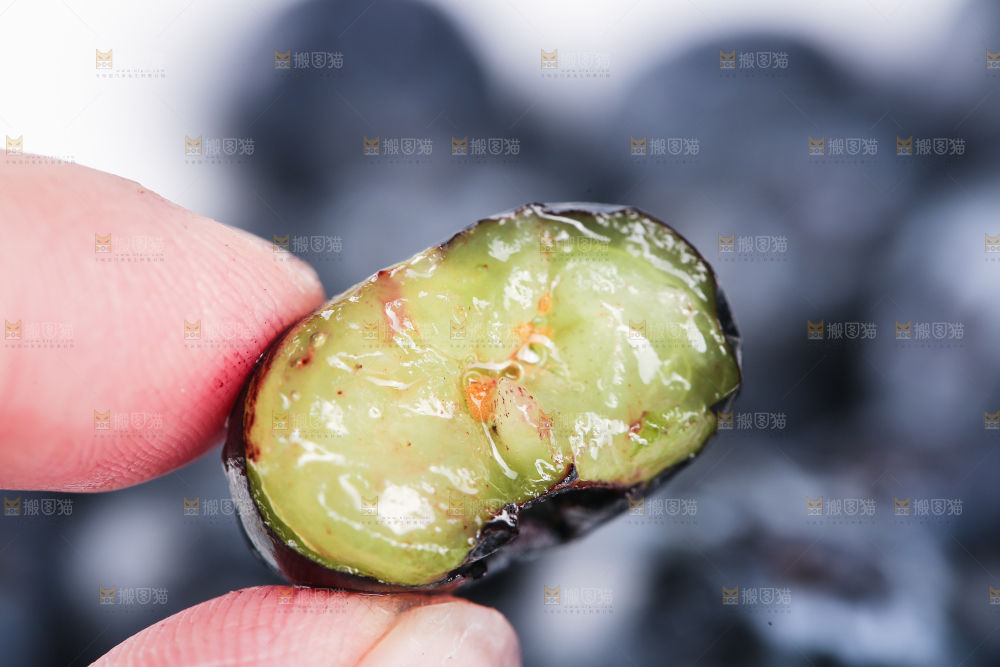 一堆新鲜莓蓝