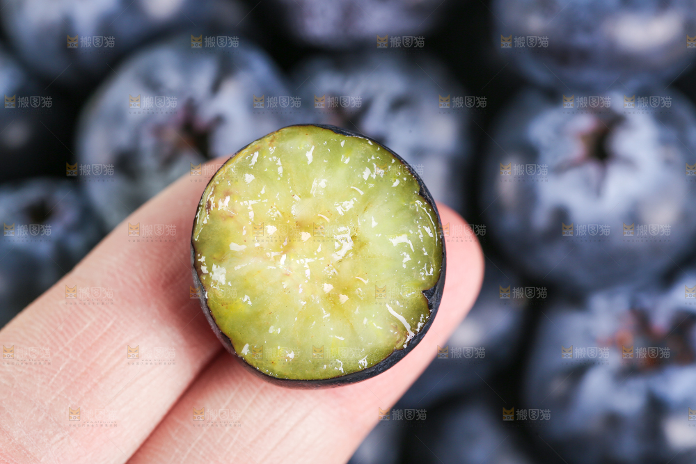 手里拿着蓝莓