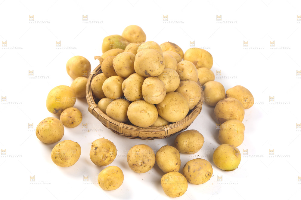 白底上的黄皮小土豆