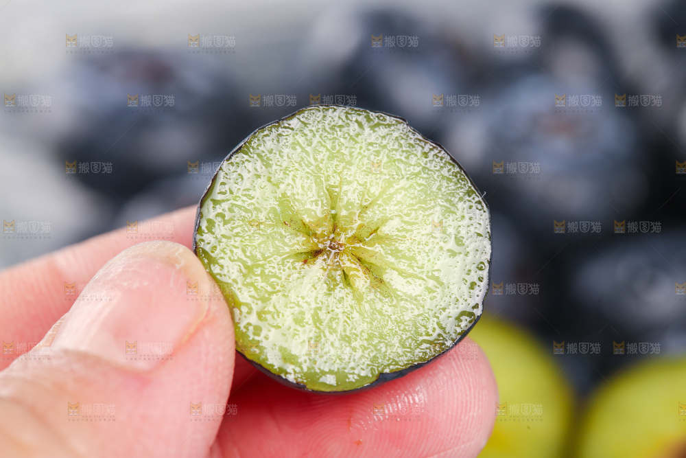 手里拿着蓝莓