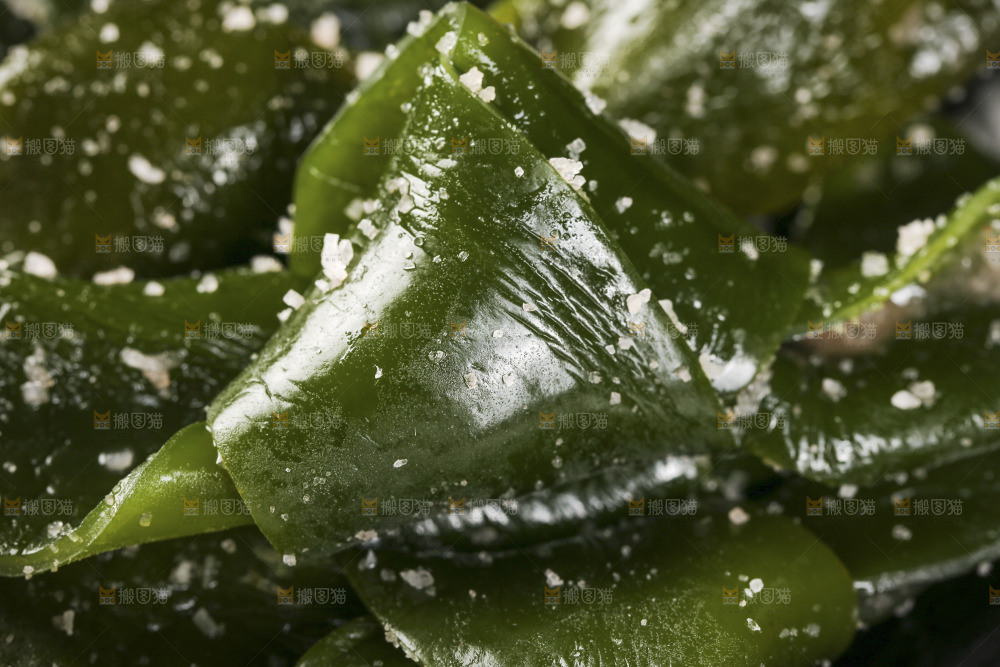 一盘盐渍海带扣