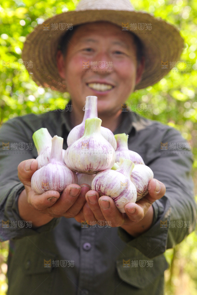 手里捧着鲜蒜