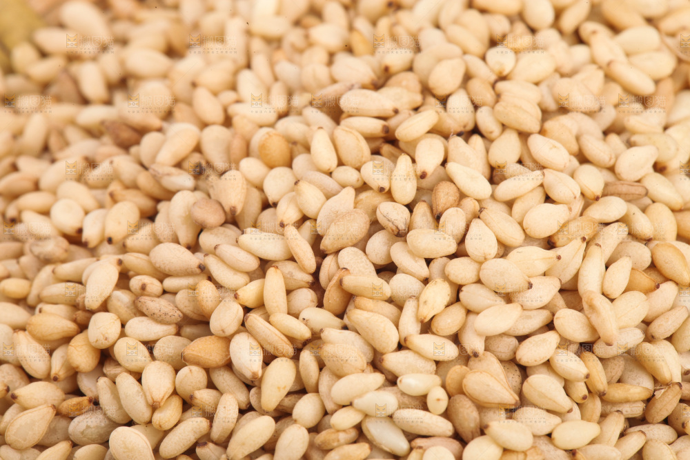 熟白芝麻纹理