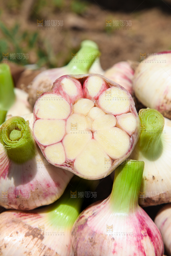 新鲜大蒜纹理