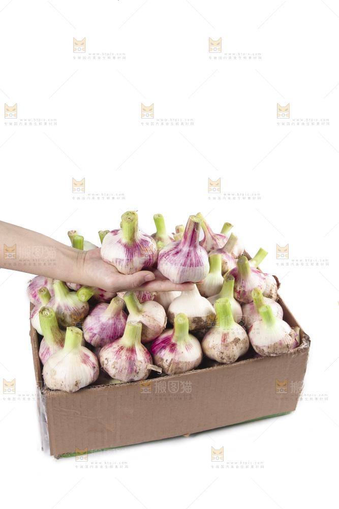 一箱新鲜大蒜