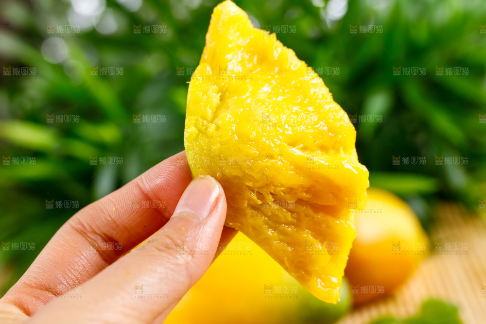 手拿新鲜彩芒