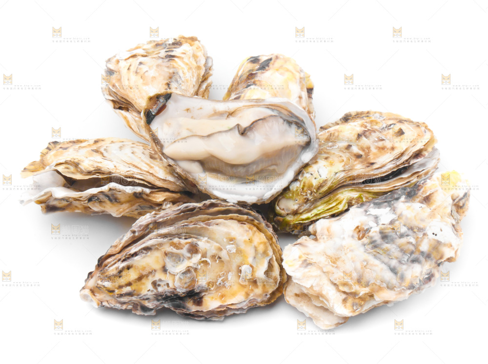 浅底上的生蚝