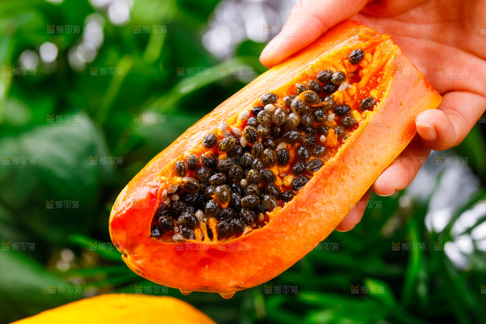 手里拿着牛奶木瓜