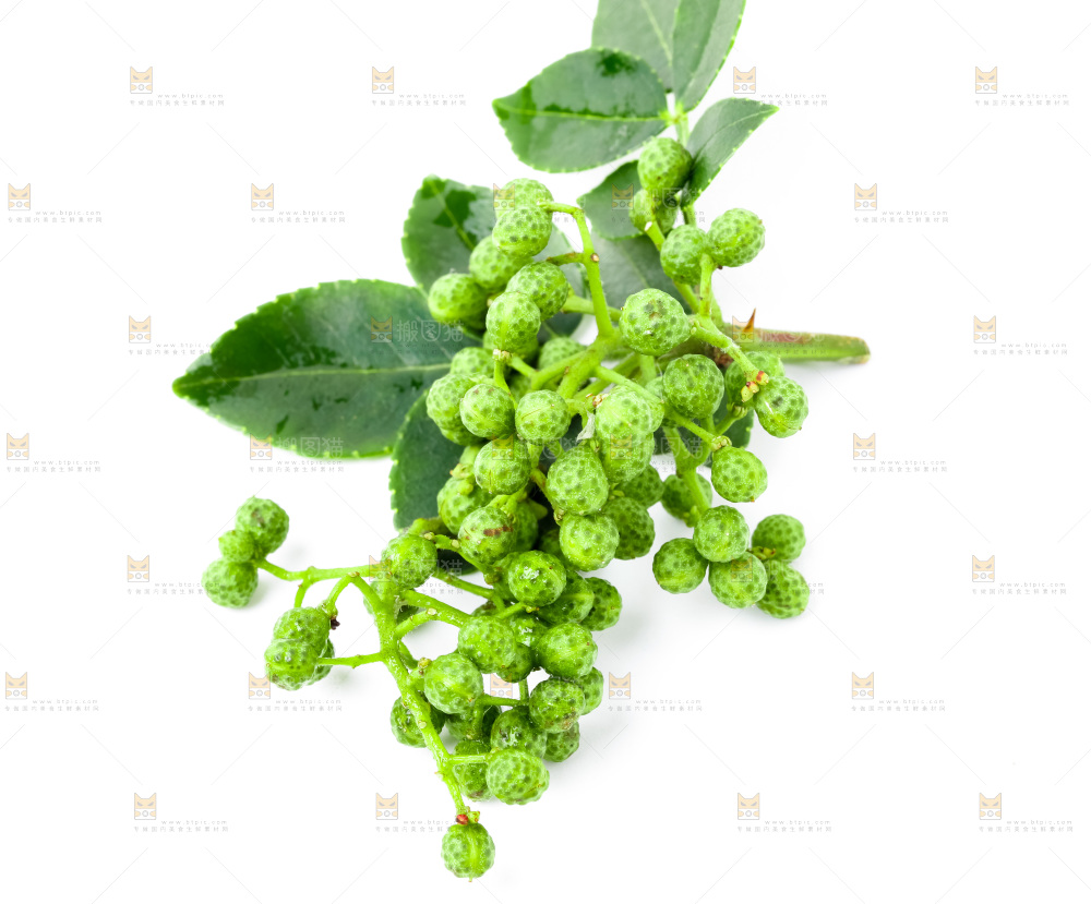 枝叶上的青花椒