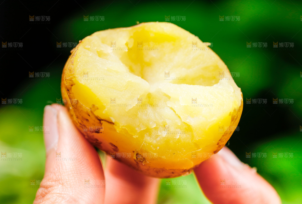 手拿黄心土豆