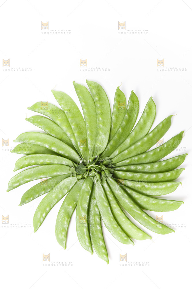 浅底上的荷兰豆