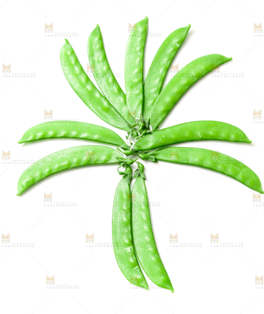 浅底上的荷兰豆
