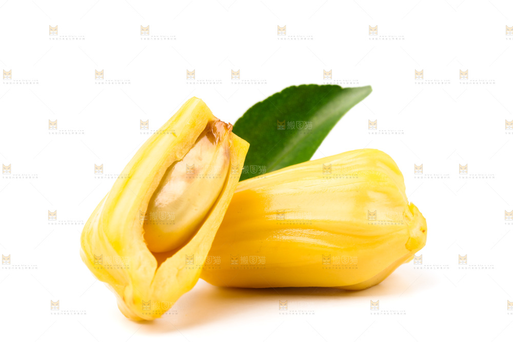浅底上的海南菠萝蜜