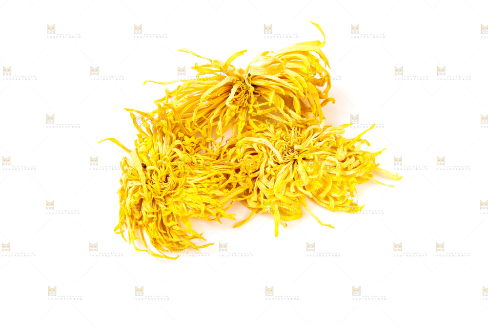白底上放着干菊花