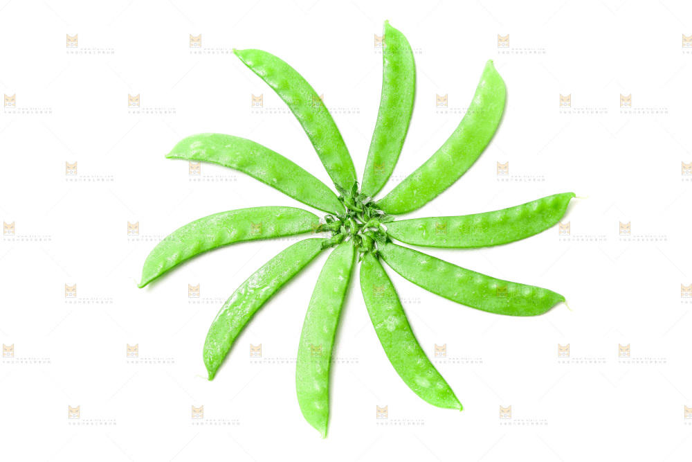 浅底上的荷兰豆