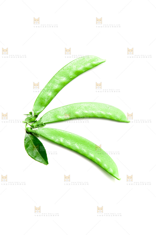 浅底上的荷兰豆