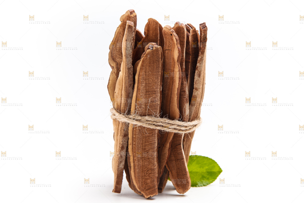 白底上的灵芝片