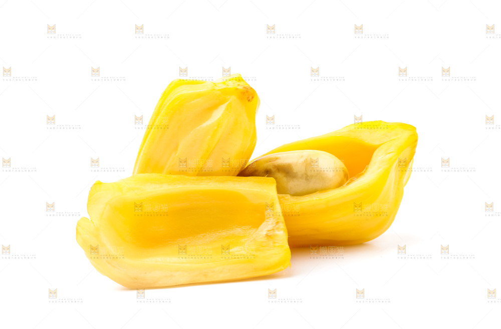 浅底上的海南菠萝蜜