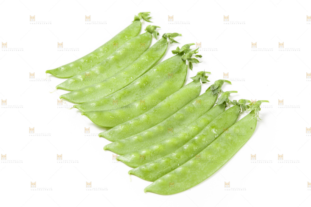 浅底上的荷兰豆