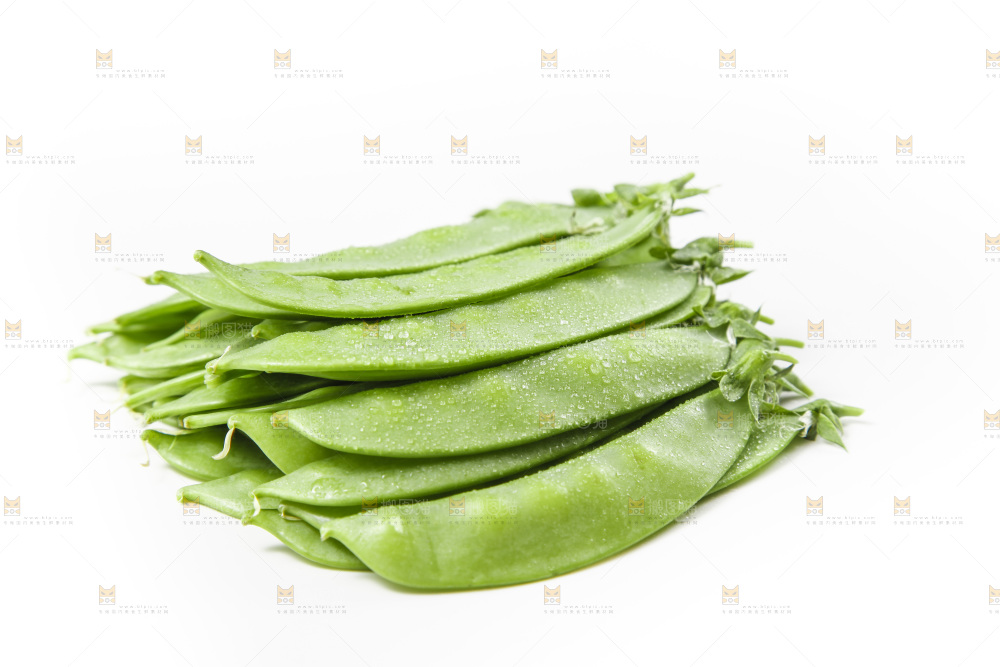 浅底上的荷兰豆