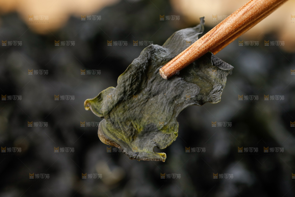 筷子上夹着干裙带菜