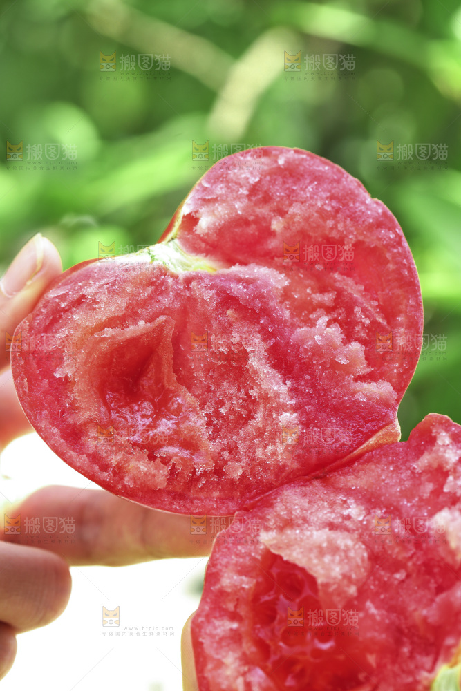 新鲜沙瓤西红柿