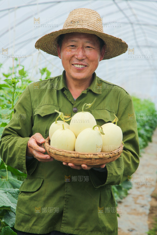 一篮新鲜阎良甜瓜