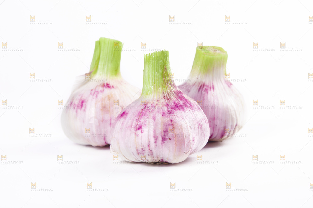 白底上的大蒜