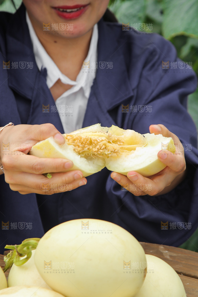 手里拿着阎良甜瓜
