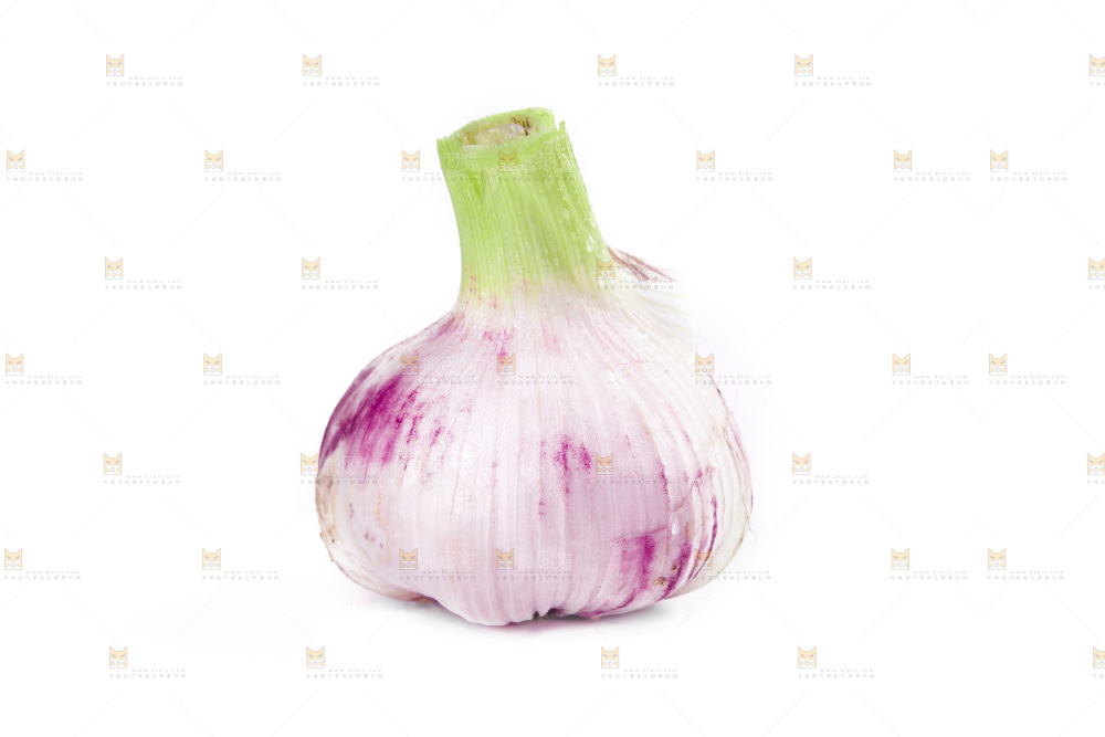 新鲜大蒜