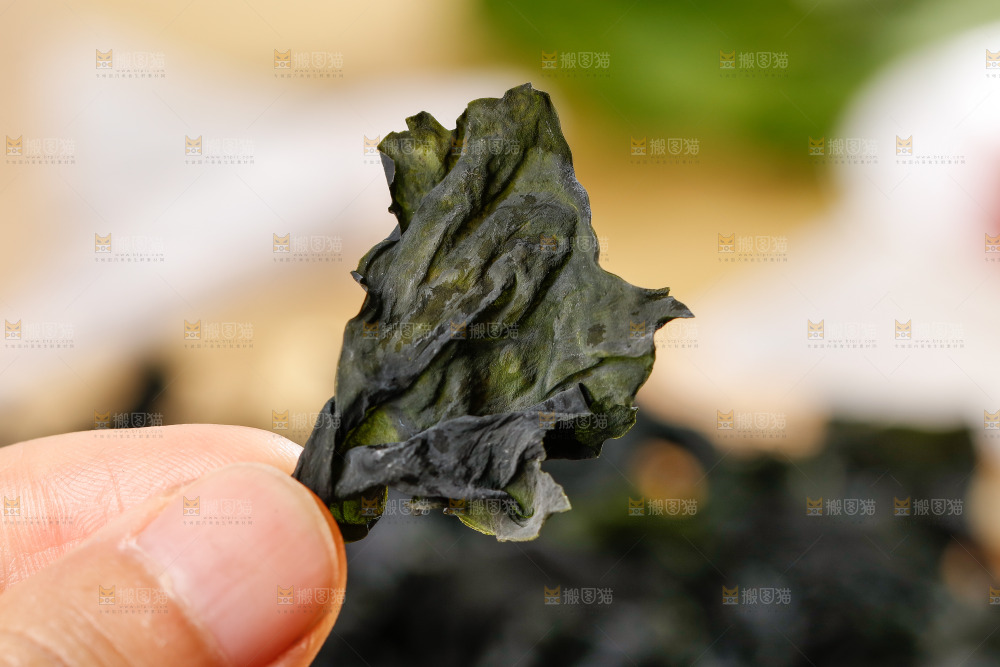 手里拿着裙带菜