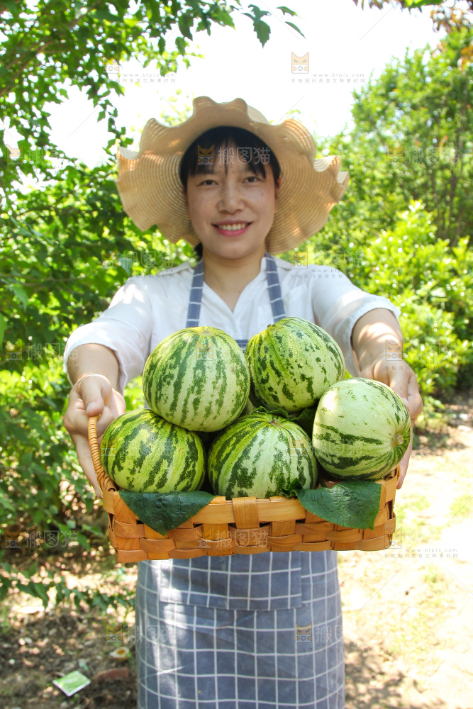 手里端着一篮花蕾甜瓜