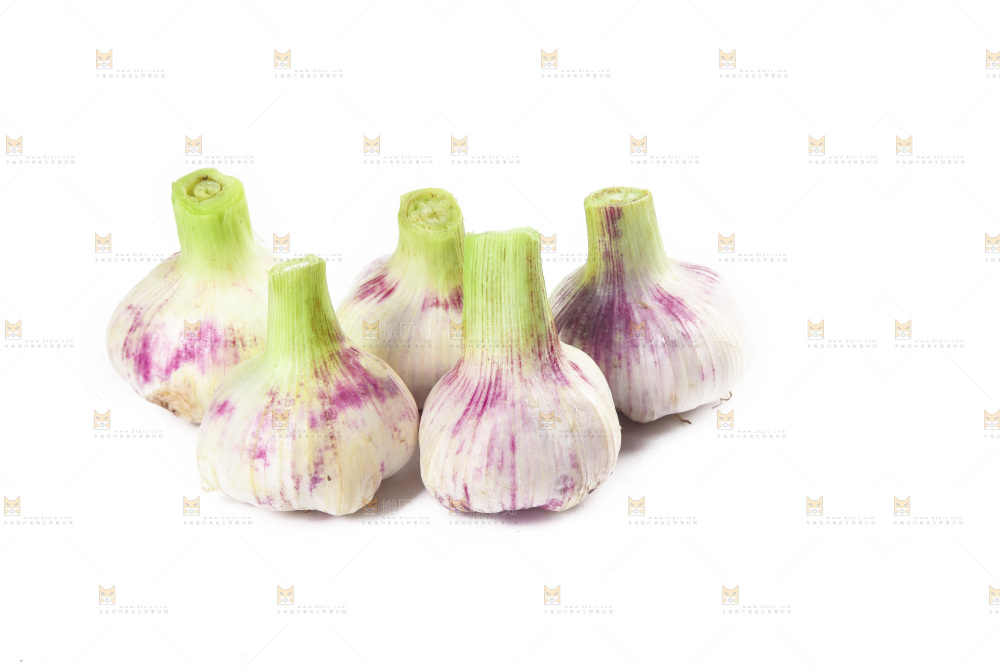 白底上的大蒜