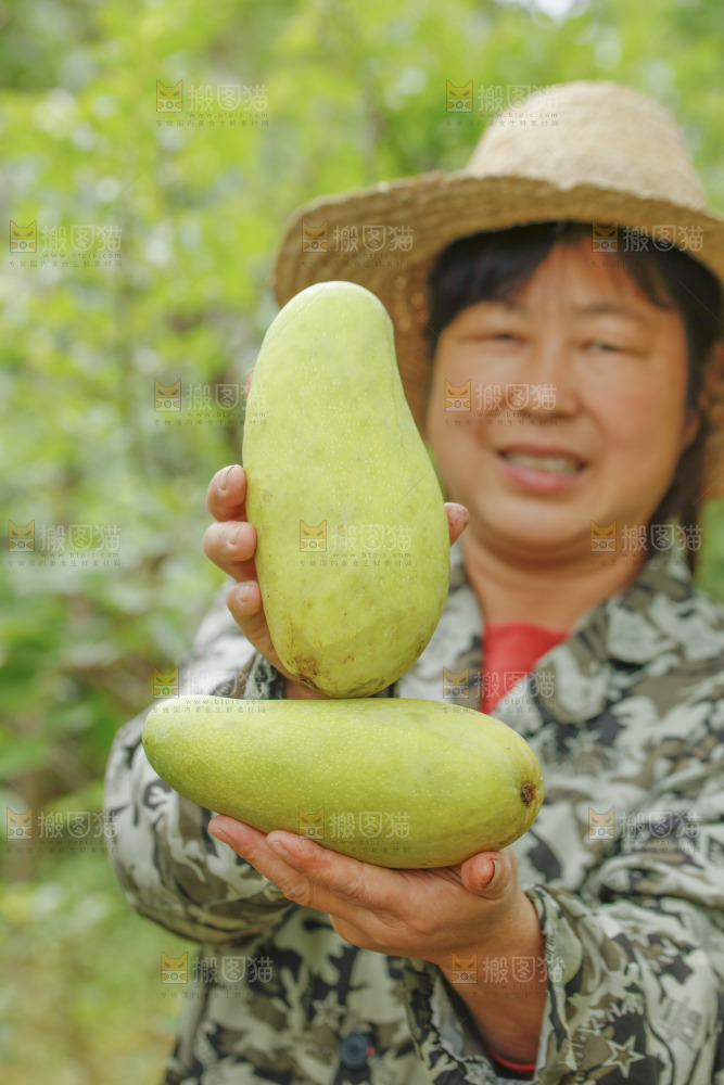 手里拿着金煌芒果