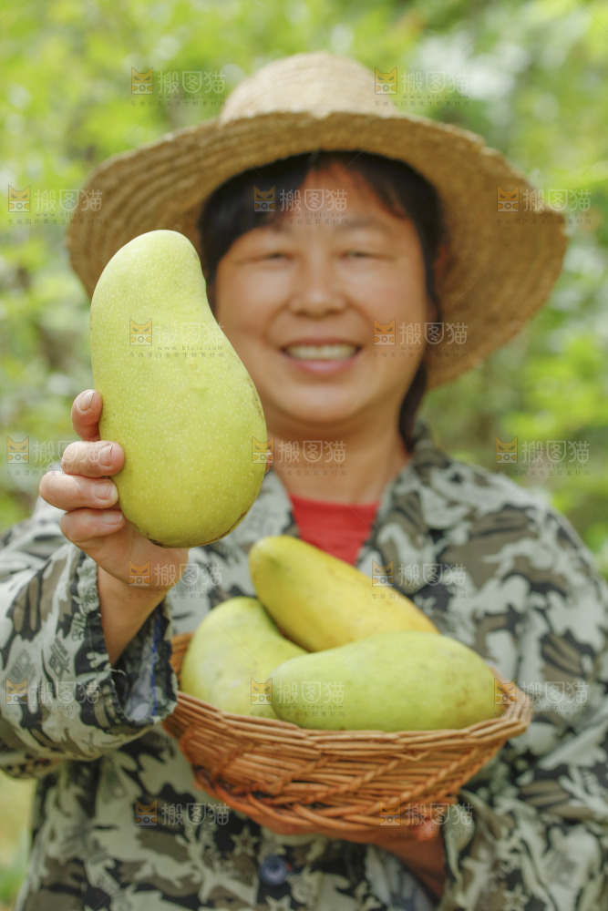 手里拿着金煌芒果