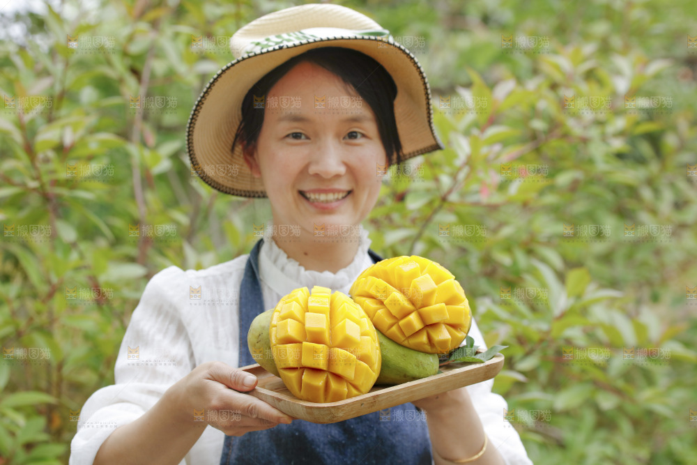 手里端着一盘金煌芒