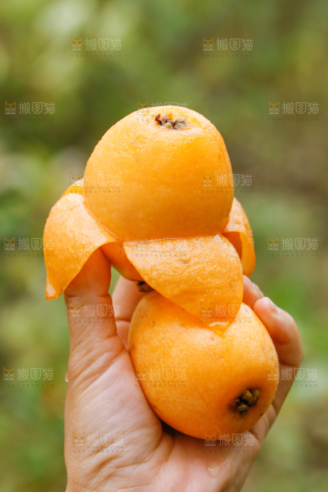 手里拿着大枇杷