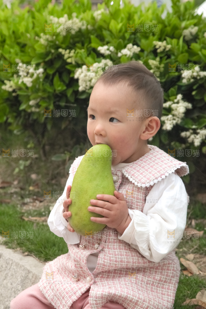儿童手里抱着大金煌芒