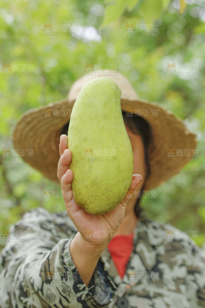 手里拿着大金煌芒