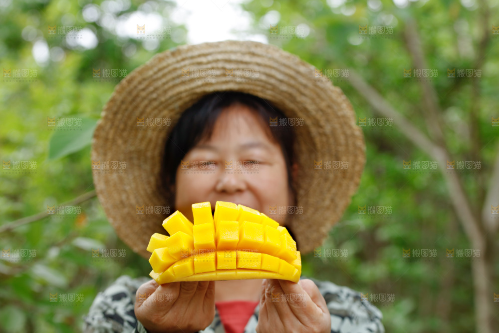 手里拿着芒果