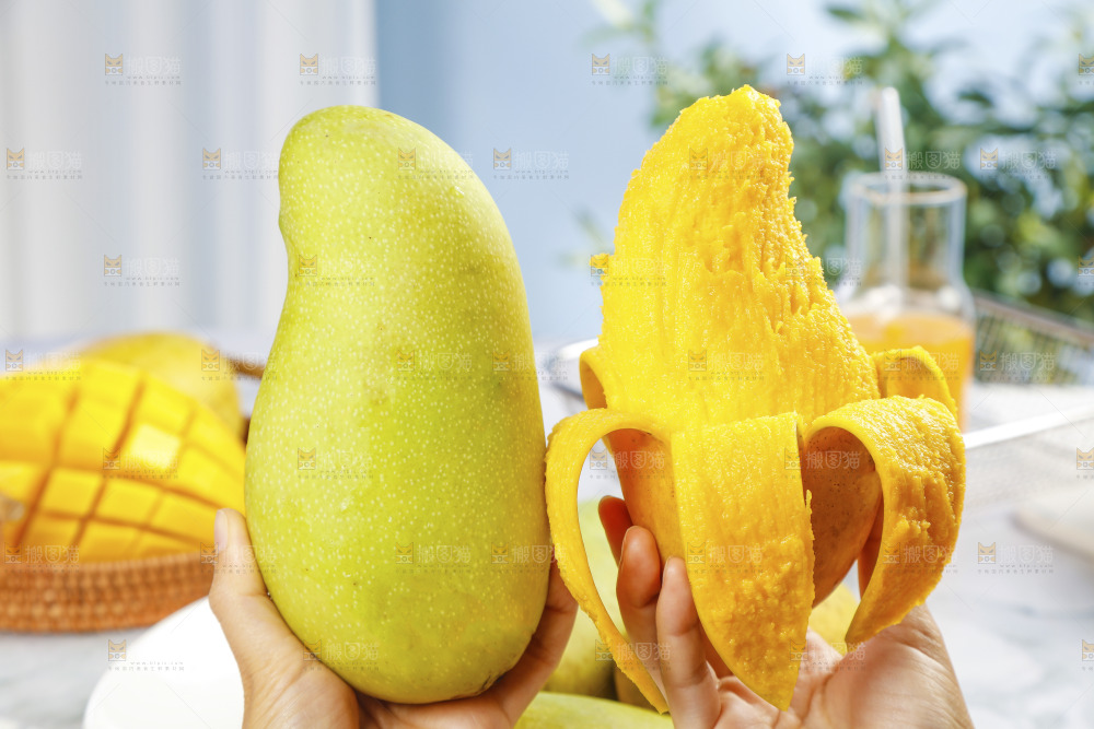 手里拿着水仙芒