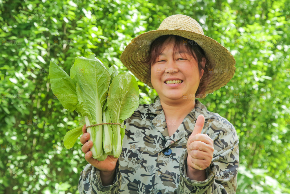 手里拿着小白菜